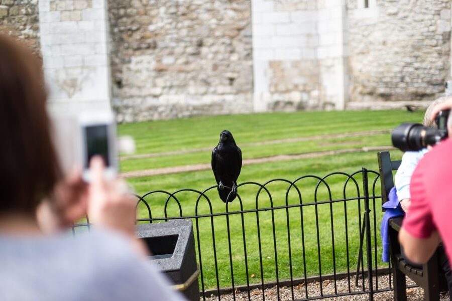 London: Tower of London Tour with Crown Jewels & Beefeaters - Ravens, queens, and the Traitors Gate route