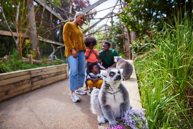 London Zoo: Entry Ticket - Getting in smoothly: voucher exchange and last admission