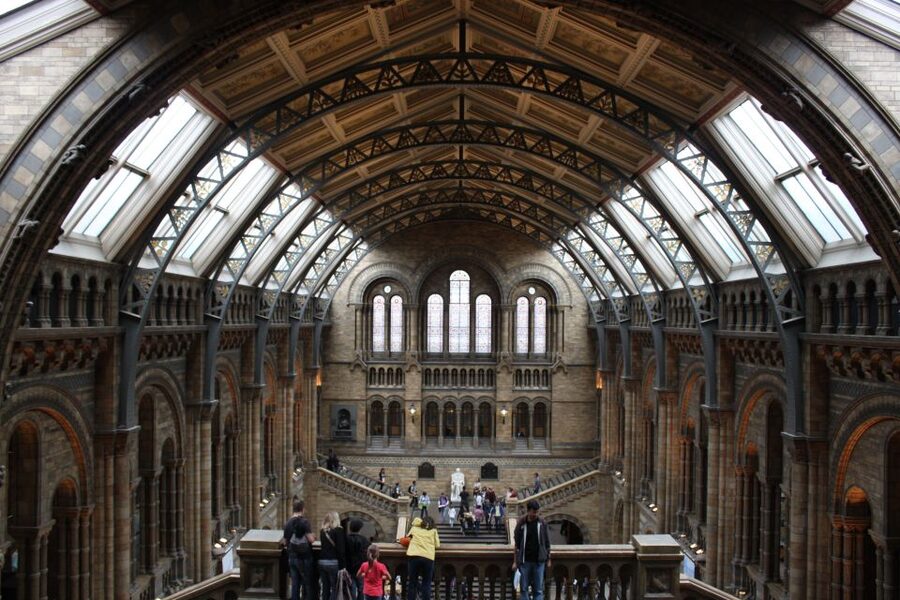 Natural History Museum e Kensington Garden - Key highlights worth planning for