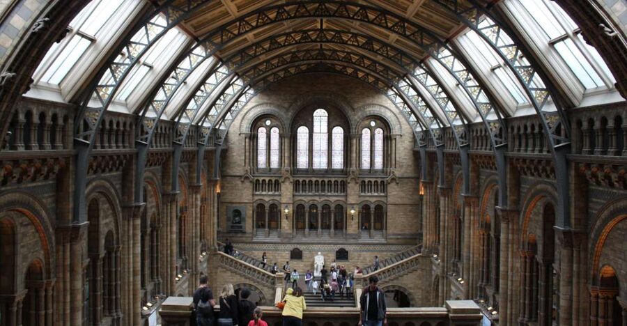 Natural History Museum e Kensington Garden - How This Private Tour Flows From the Museum to Kensington Gardens