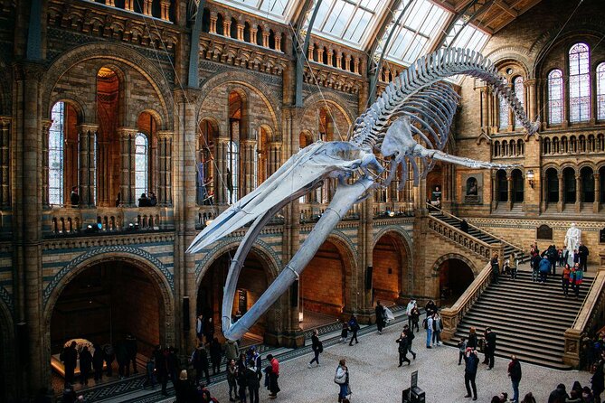 Natural History Museum London - Exclusive Guided Museum Tour - Key things to know before you go