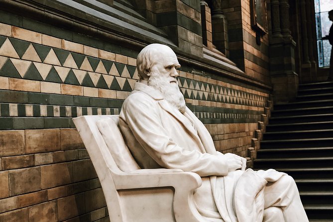 Natural History Museum London - Exclusive Guided Museum Tour - Itinerary Reality Check: The 2-Hour Pace (and Why It Works)