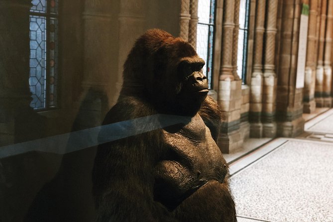 Natural History Museum London - Exclusive Guided Museum Tour - Getting There and Getting Through Security (Without Losing Your Mind)