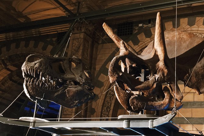 Natural History Museum London - Exclusive Guided Museum Tour - Who This Tour Fits Best (And Who Might Skip It)