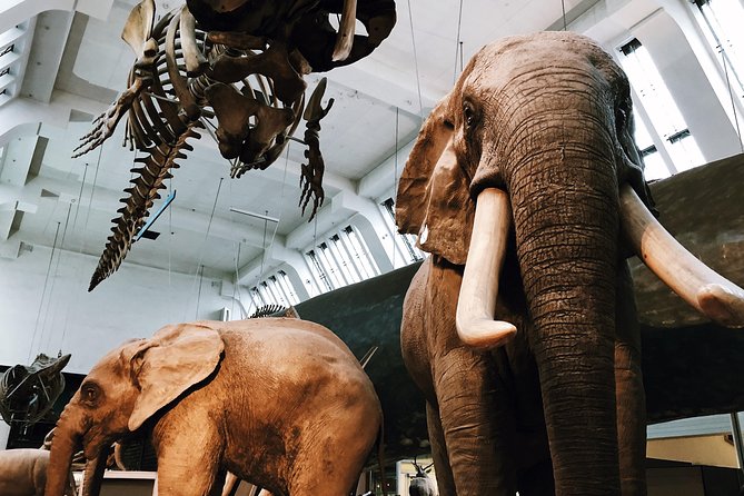 Natural History Museum London - Exclusive Guided Museum Tour - Should You Book This Exclusive Natural History Museum Tour?
