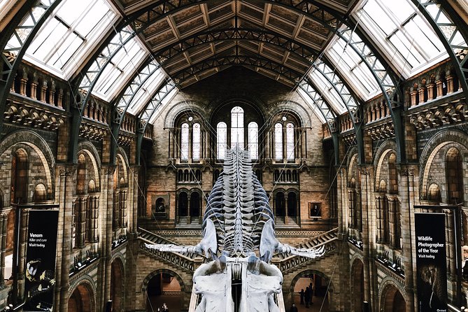 Natural History Museum London - Exclusive Guided Museum Tour - Why a Guide Is the Difference in a Museum This Big