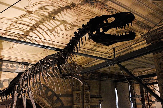 Natural History Museum London Guided Tour Semi-Private 8ppl Max - Pompeii Casts and the Strange Museum Details That Stick