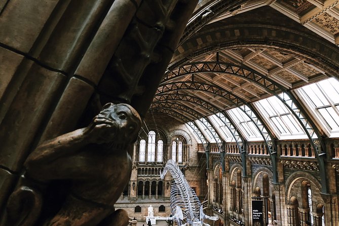 Natural History Museum London Guided Tour Semi-Private 8ppl Max - What the Guide Adds (Including the Named Experts)