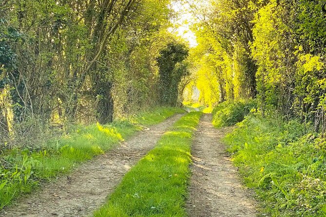 One Day Tour from London to The Cotswolds - Who this suits best (and who should skip it)