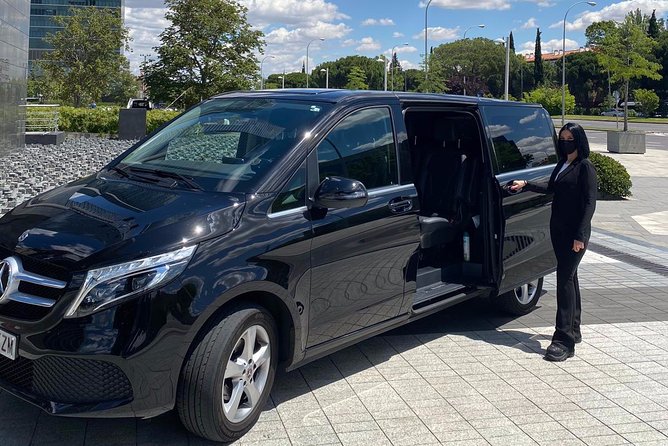 Private 8-hour Tour of London: Private driver & licensed guide w/ Hotel Pick Up - London Eye finish: the best way to end when you have limited time