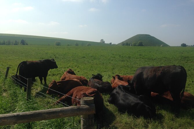 Private Archaeologist Guided Tour Stonehenge, Salisbury & Avebury - Salisbury Cathedral and Magna Carta: From Stones to Rights