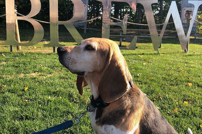 Private:Brewery, Winery, and Cider & Spirit Tastings Tour in SW Ontario - How the day works: three stops in about five hours