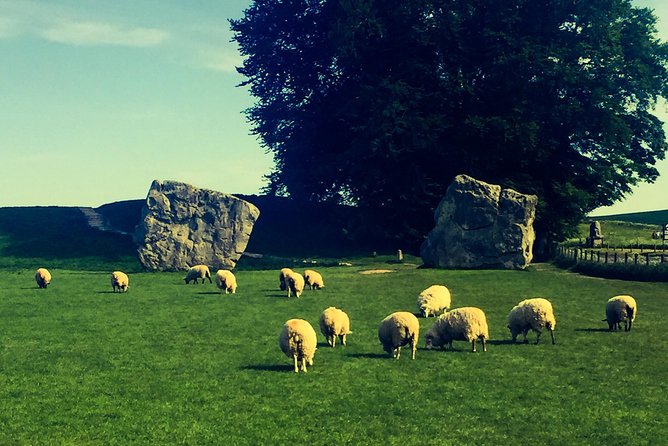 Private Day Tour to Bath, Avebury & The Cotswolds - Guides like Christian and Will Shipley are a big deal