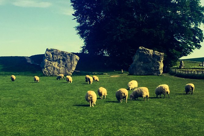 Private Day Tour to Bath, Avebury & The Cotswolds - Price and value: What you’re really paying for