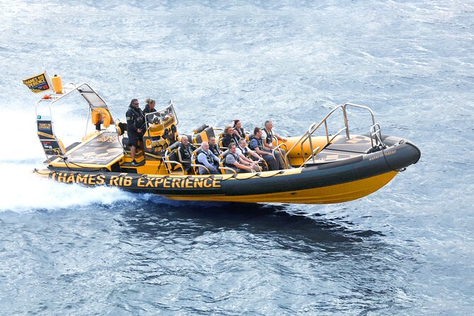 PRIVATE HIRE 45 min Speedboat Tour - Embankment/Westminster Pier - Getting on the Thames Rib: Westminster Pier, mobile tickets, and timing
