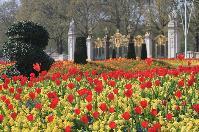 Private Walking tour London, Buckingham Palace to Big Ben and much more - Who should book, and who might skip