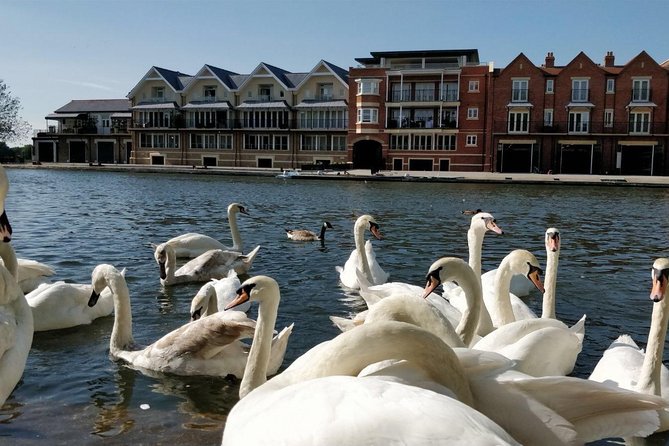 Private Windsor Roundtrip Transfer from London - Getting from London: door-to-door comfort and COVID-minded setup