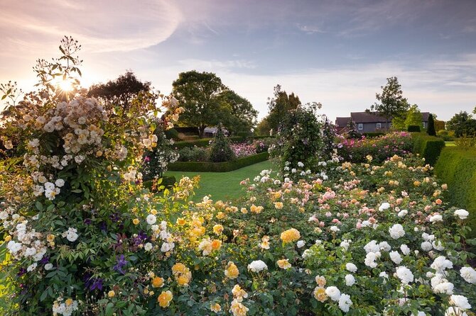 RHS Garden Hyde Hall - Clover Hill Views and the Hilltop Garden: Roses, Borders, Lawns, and Fishponds