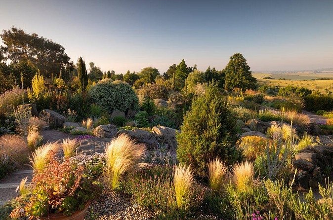 RHS Garden Hyde Hall - Evergreen, Dry-Condition Gardening, and Why the Bloom Story Isn’t One-Note