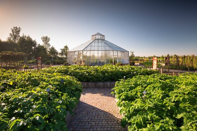 RHS Garden Hyde Hall - Global Vegetable Garden and Its Cafés: Gardening That Feels Useful