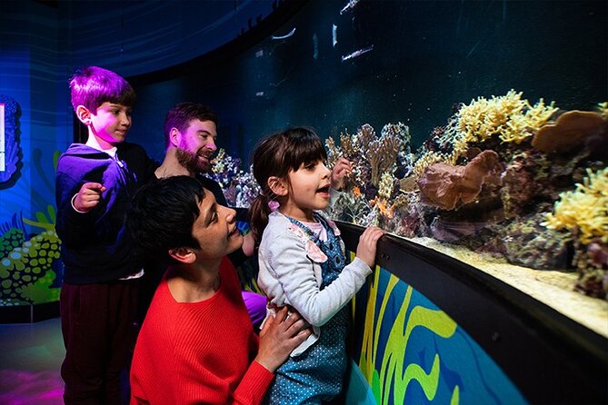 SEA LIFE London Aquarium Admission Ticket - Atlantic Ocean exhibits: sand eels, octopus, and jellyfish