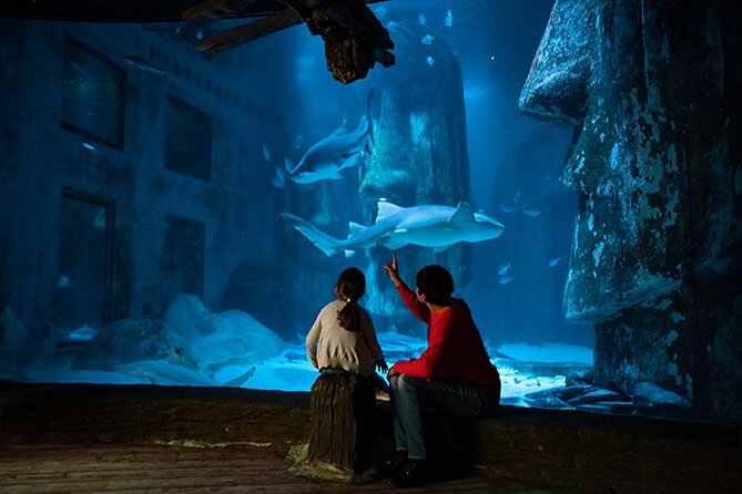 SEA LIFE London Aquarium Admission Ticket - Rainforest Adventure: 360° views of Amazon-style “nope”