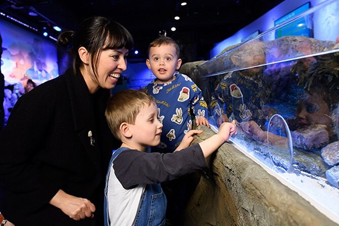 SEA LIFE London Aquarium Admission Ticket - Pacific Zone Shark Walk: the suspended platform moment