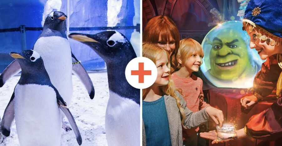 SEA LIFE London & DreamWorks Shrek's Adventure: Combo Ticket - Why This SEA LIFE London + Shrek Combo Ticket Works in Real Life
