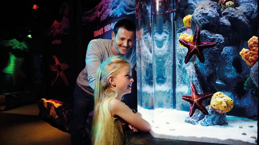 SEA LIFE London & DreamWorks Shrek's Adventure: Combo Ticket - How to Time Your Combo: A Simple Approach That Keeps Kids Happy