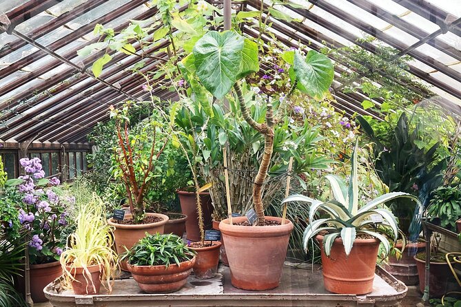 Secret Gardens of London Private Tour - Crossing to Lambeth: London Garden Museum at Lambeth Palace