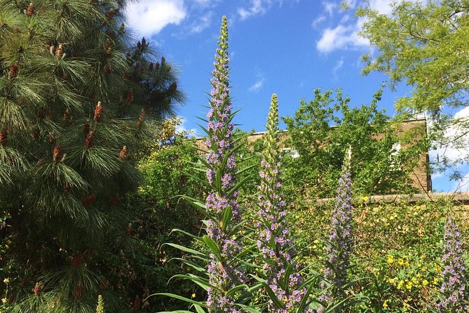 Secret Gardens of London Private Tour - Start at St Martin-in-the-Fields, then follow the greenery