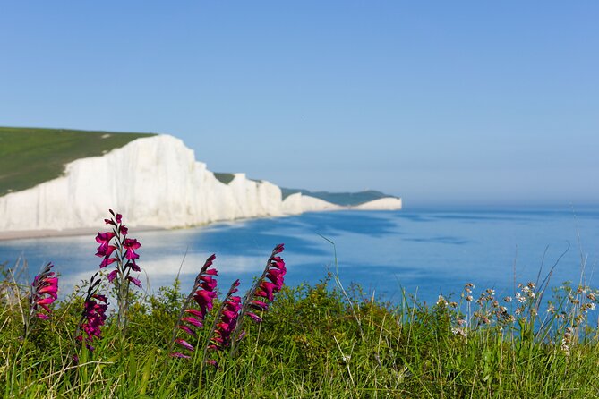 Seven Sisters and Brighton Tour with Train Tickets included - Seven Sisters and Brighton: the day-trip combo that feels planned