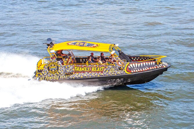 Speedboat 'THE THAMES BEAST' from Tower Millennium Pier - 40 mins - Should you book the Thames Beast RIB cruise?