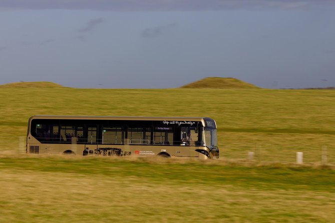 Stonehenge Shuttle Bus from London with Optional Fish & Chips - Comfort, group size, and what could go wrong