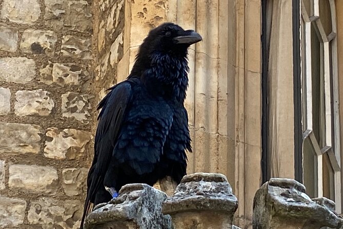 The Tower of London - Small Group Tour with a Local Expert - White Tower entry: where the Tower’s authority becomes physical