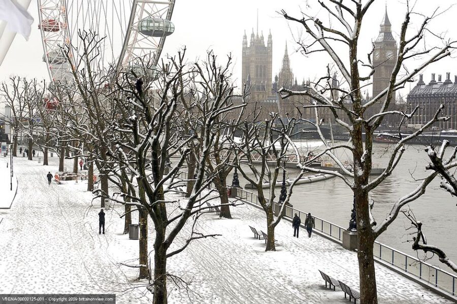 Tour of London and Christmas Day Lunch Cruise - Luxury Coach and River Liner: Comfort, but Watch the Viewing Details
