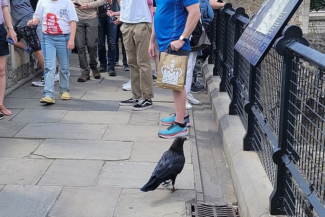Tower of London: Guided Tour with Thames River Cruise - Price and value: is $69.95 worth it?