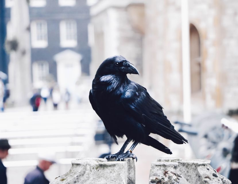 Tower of London Private Tour - The Tower as zoo, mint, armory, and observatory