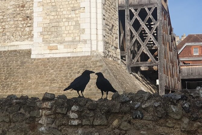 Tower of London Private Tour for Families and Friends - Stop 3: Ravens and Tower legends (and a ticket-free moment)