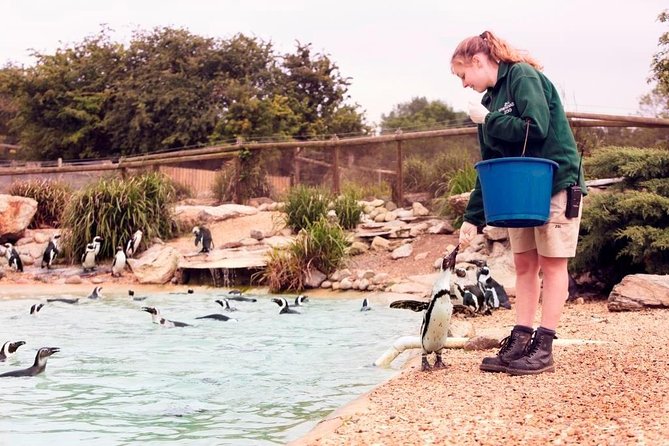 Whipsnade Zoo Entry Ticket - A self-paced visit: how to plan 3 to 5 hours without rushing