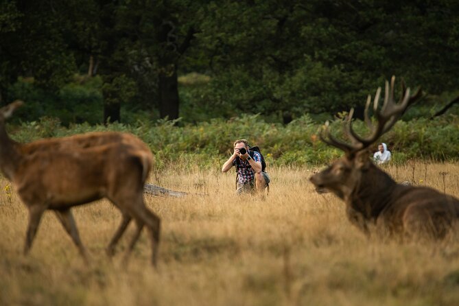 Wildlife Photography Workshop in Richmond Park in London - Meeting at Queen’s Road and getting in without drama